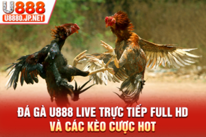 Đá Gà U888 Live Trực Tiếp Full HD Và Các Kèo Cược Hot