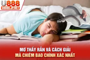 Mơ Thấy Rắn Và Cách Giải Mã Chiêm Bao Chính Xác Nhất 2026